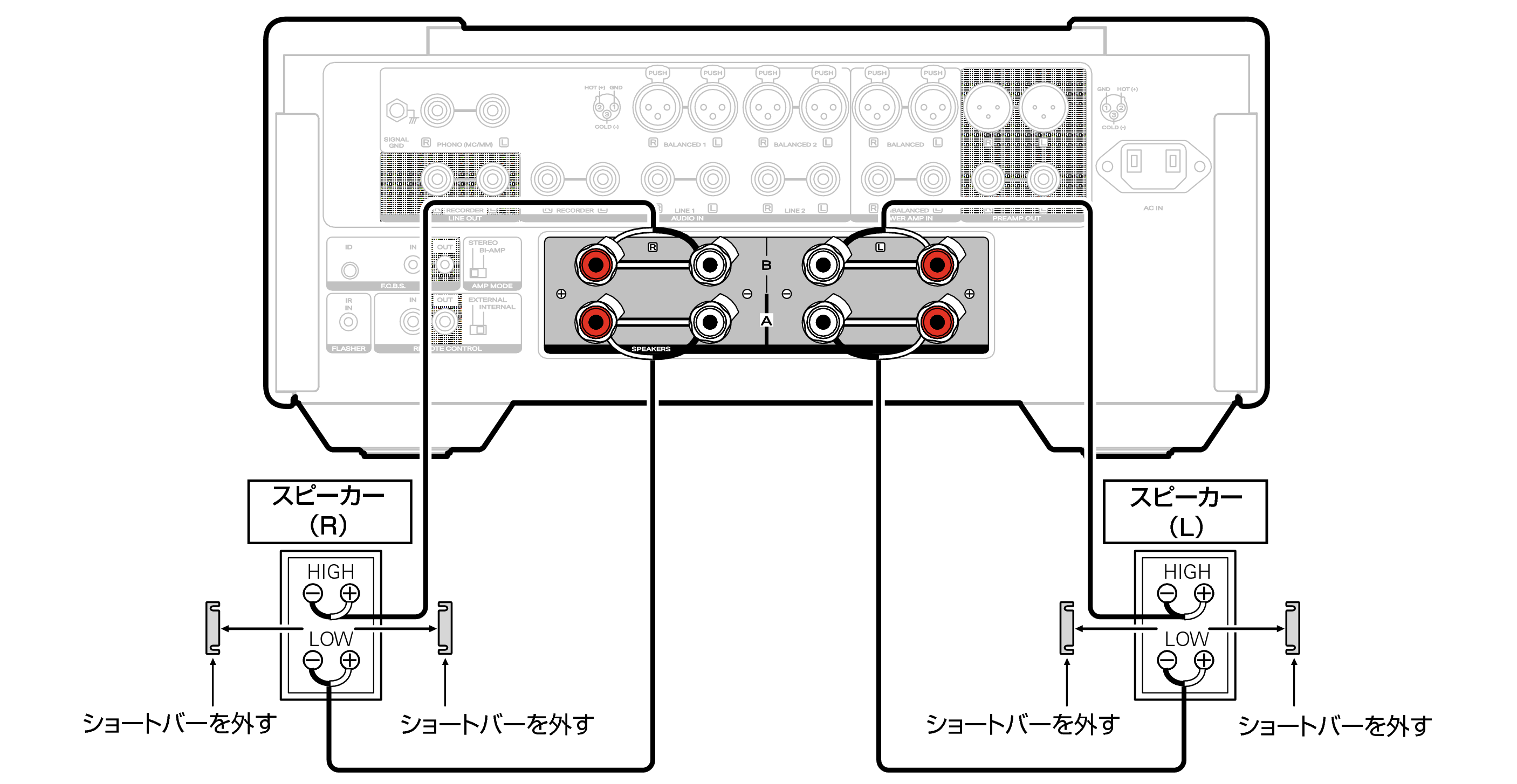 Conne biWiring MODEL10